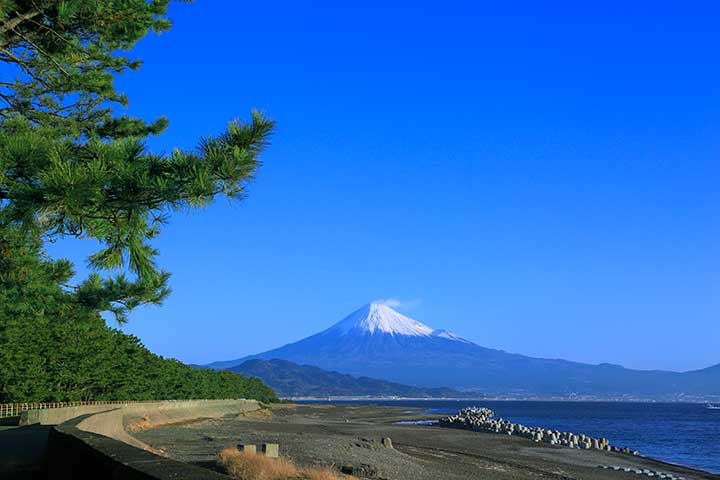 静岡