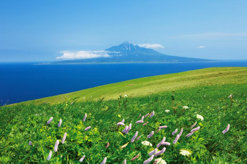 礼文島から望む利尻富士