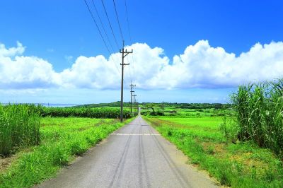 小浜島 シュガーロード