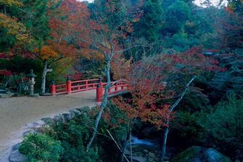 宮島 紅葉谷公園