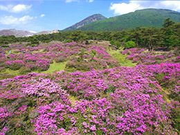 宮崎_えびの高原