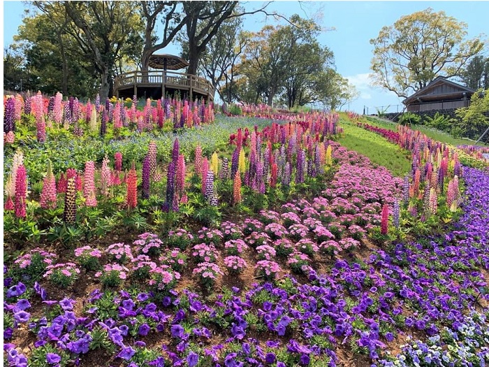 高知県立牧野植物園