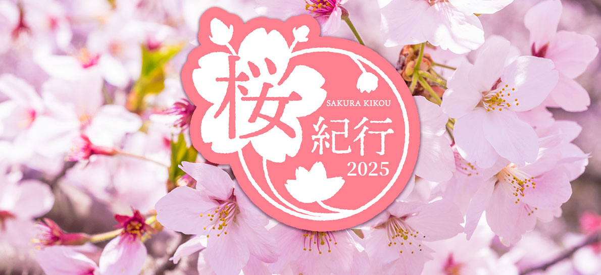 桜紀行 2025