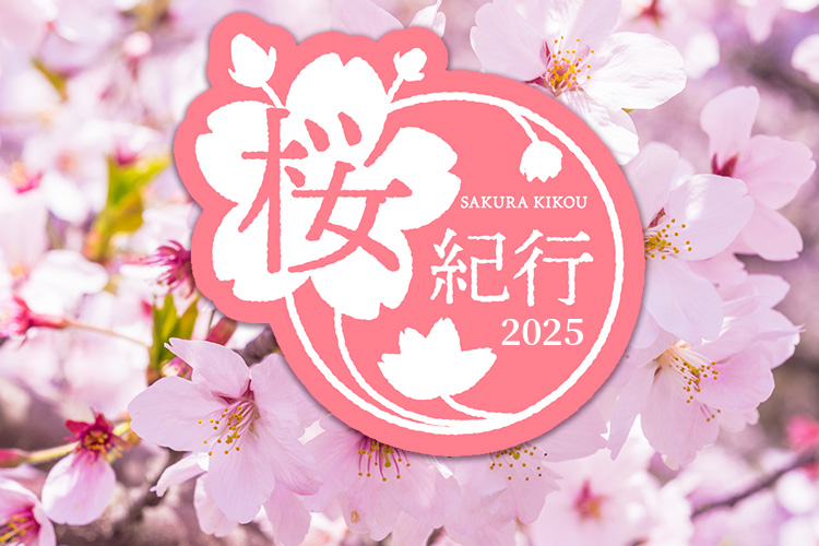 桜紀行 2025