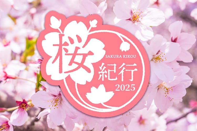 桜紀行 2025