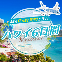 ANA FLYING HONUで行く　ハワイ6日間