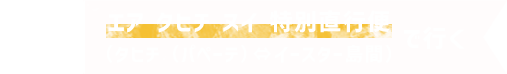 エア タヒチ ヌイ 特別直行便(タヒチ(パペーテ)、イースター島間 )で行く