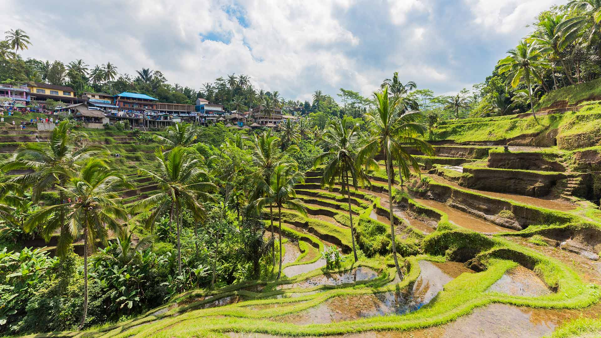 旅物語 インドネシア ツアー・旅行KV02