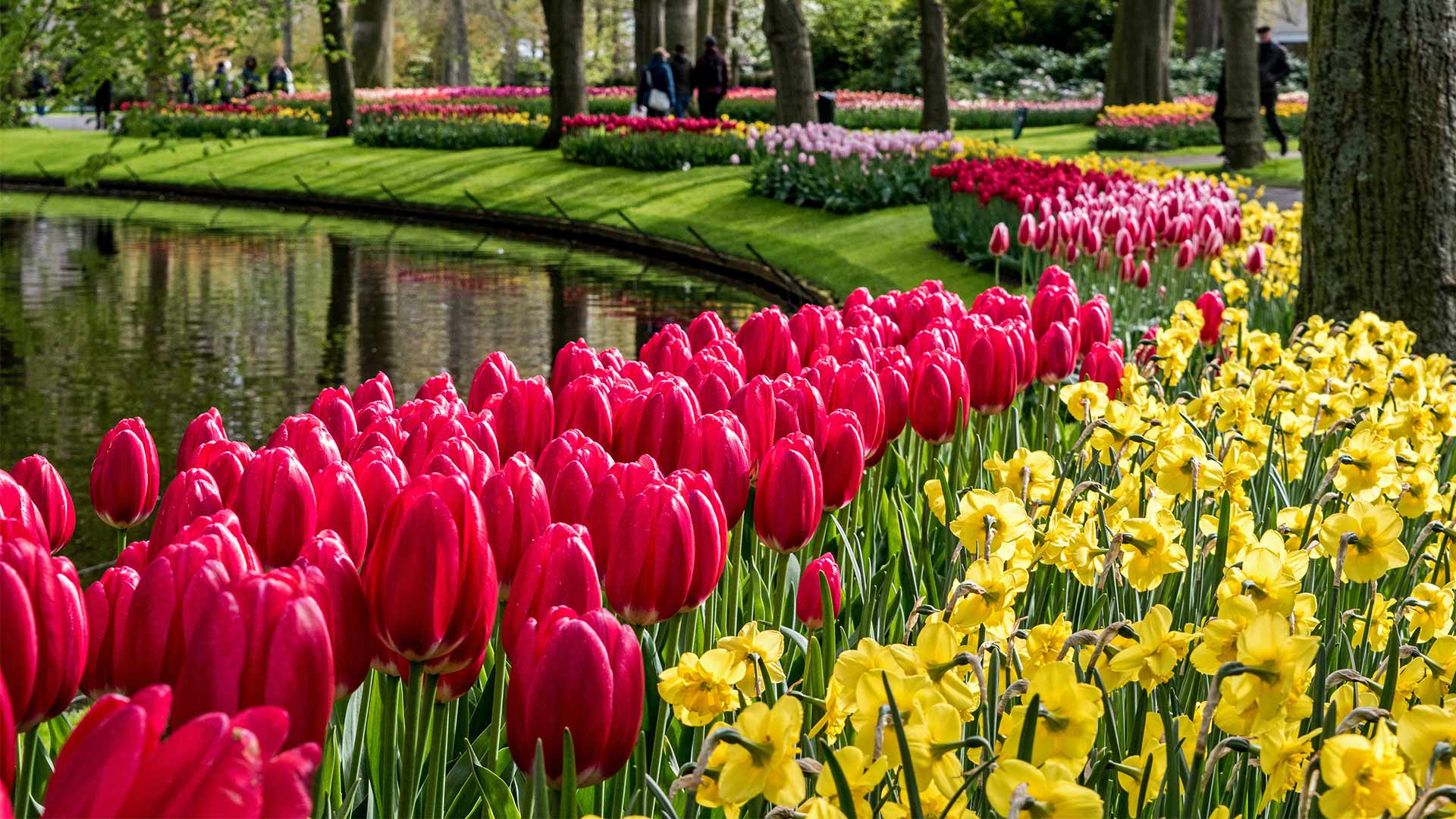 キューケンホフ公園