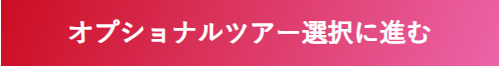 オプショナルツアー選択に進む