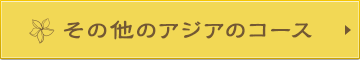 その他のアジアのコース