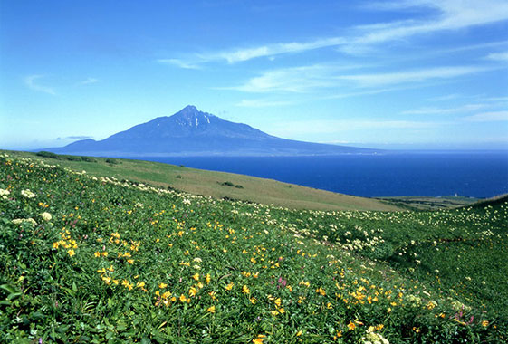 桃岩展望台から望む利尻山