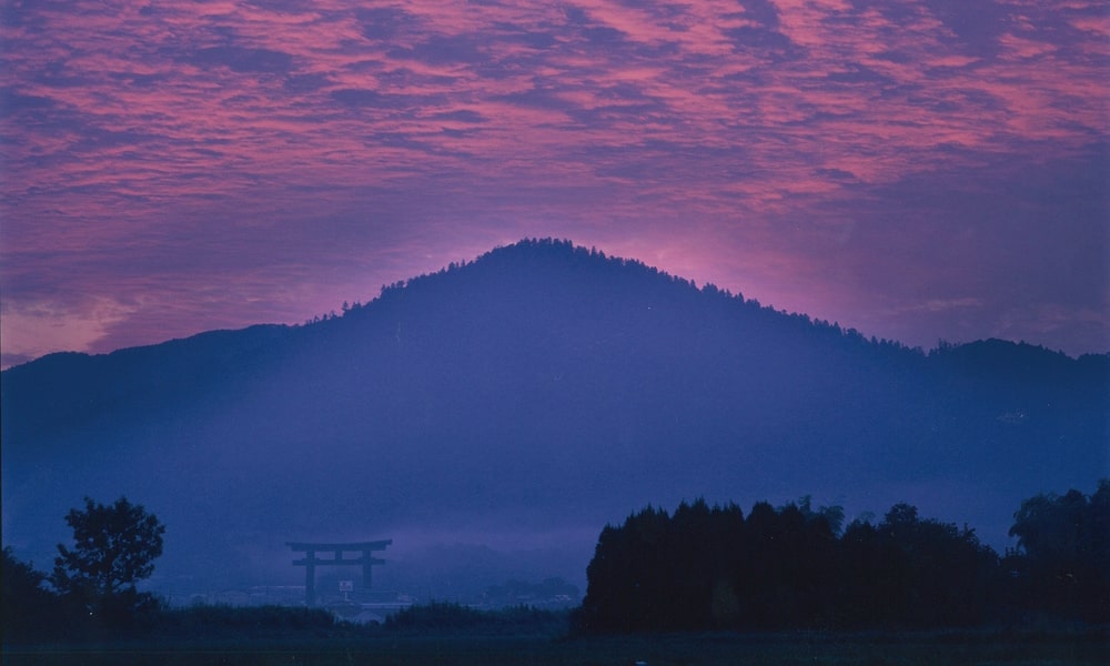 写真提供：一般財団法人 奈良県ビジターズビューロー