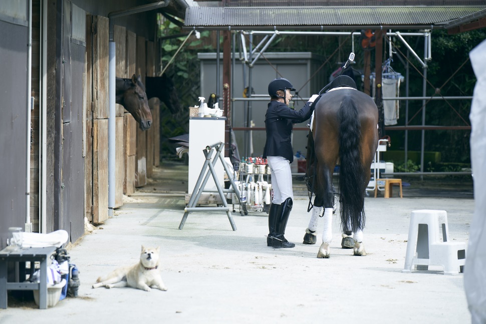 パラ馬場馬術の中村公子選手