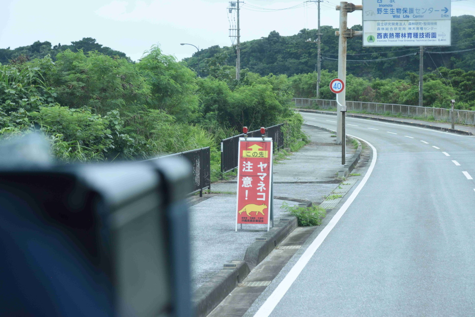 イリオモテヤマネコの交通事故対策の移動式看板