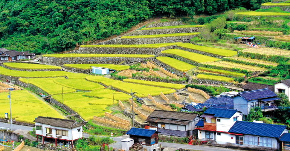 段々畑が広がる人吉・球磨地方