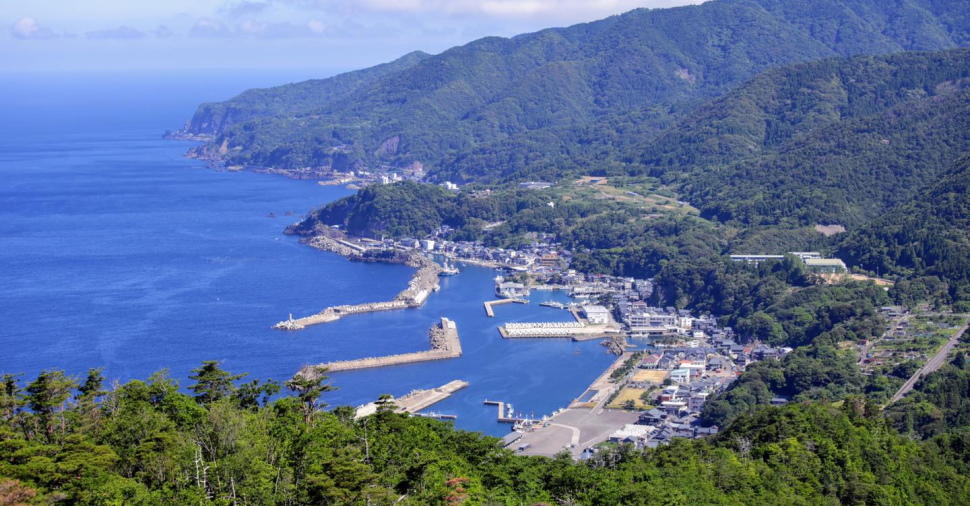 福井県随一の水揚げ量を誇る越前漁港