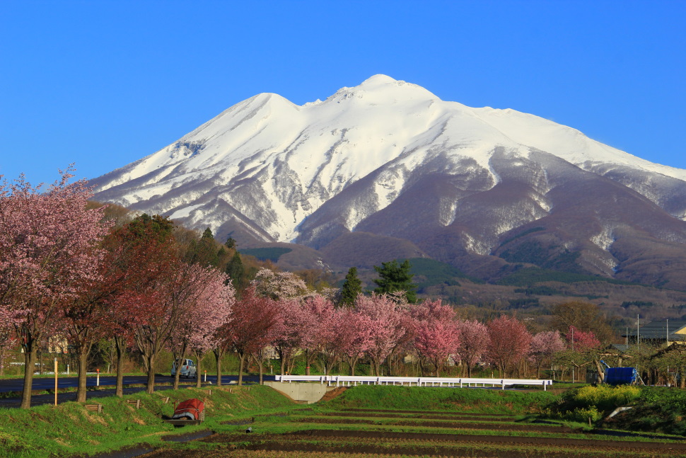 県道3号線、山の入り口、里山の並木道と岩木山