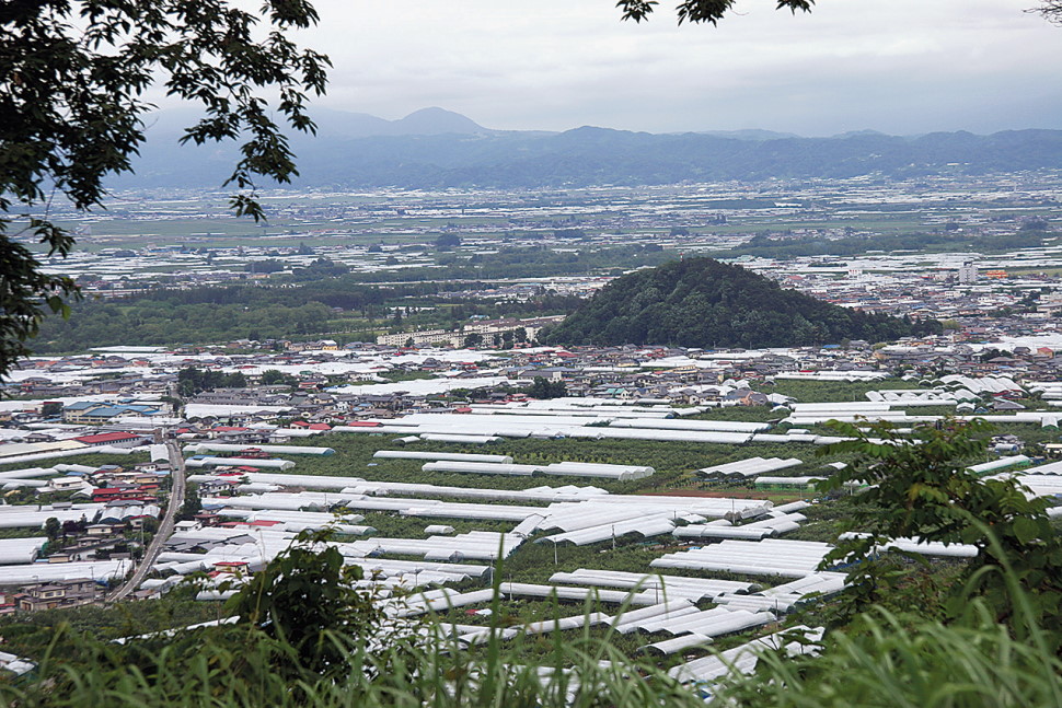 「雨除けハウス」がかけられた園地