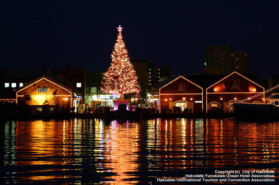 水上に浮かぶクリスマスツリー