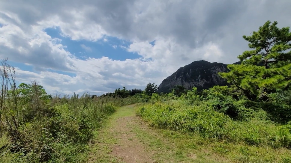 済州島