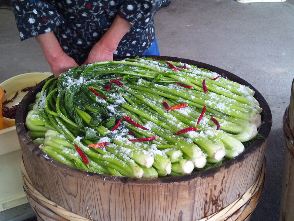 野沢菜を漬ける一石桶