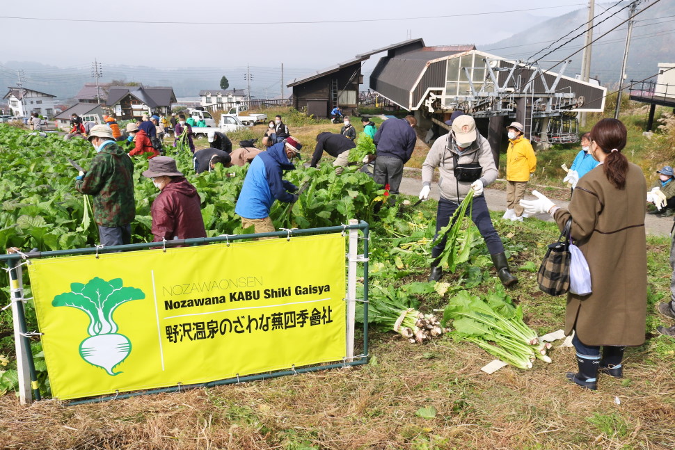 野沢温泉のざわな蕪四季會社の活動