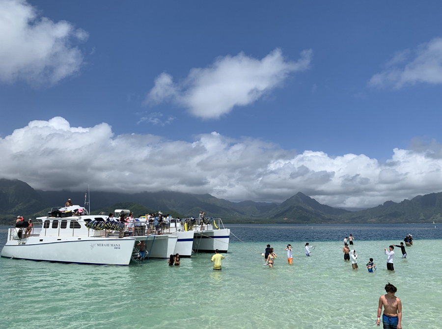 天使の海