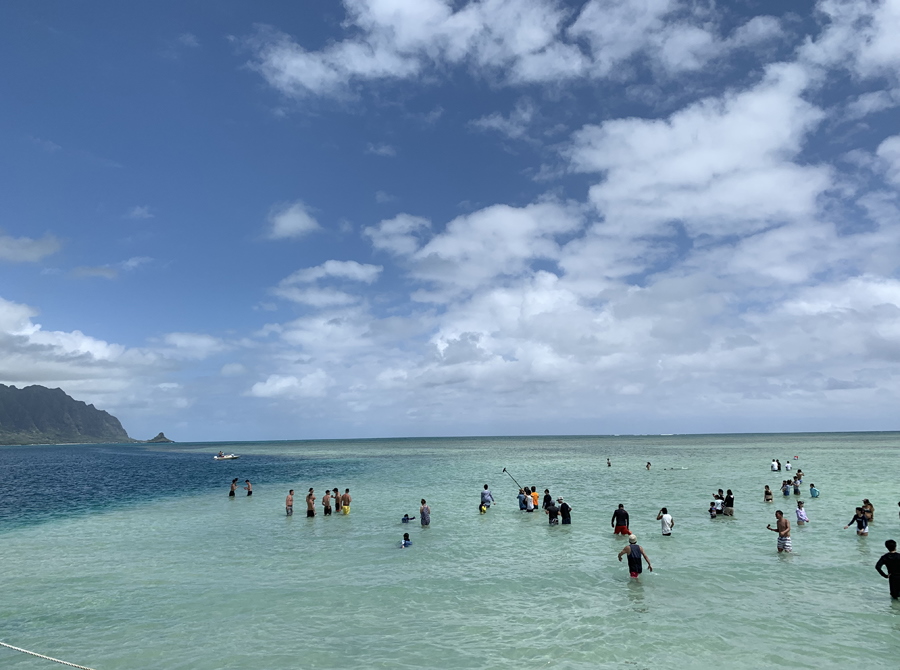 天使の海