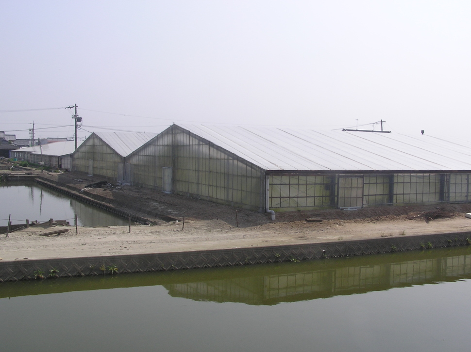  加温式温水養殖（ハウス養殖）