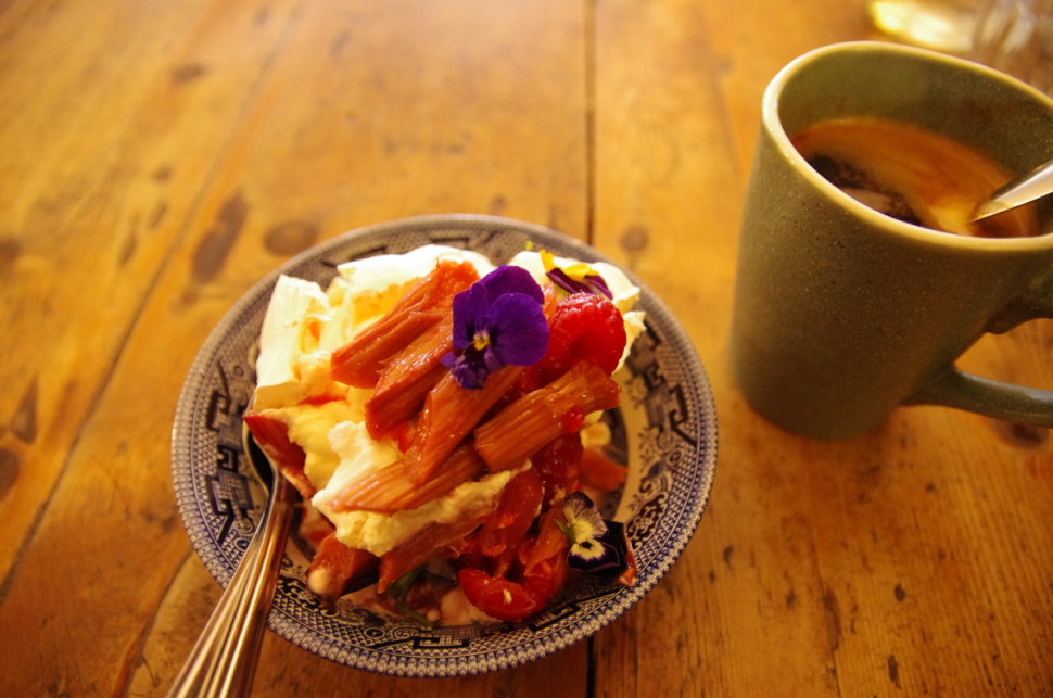 デザートには、スペシャルの「Poached Irish Rhubarb and Raspberry Pavlova」