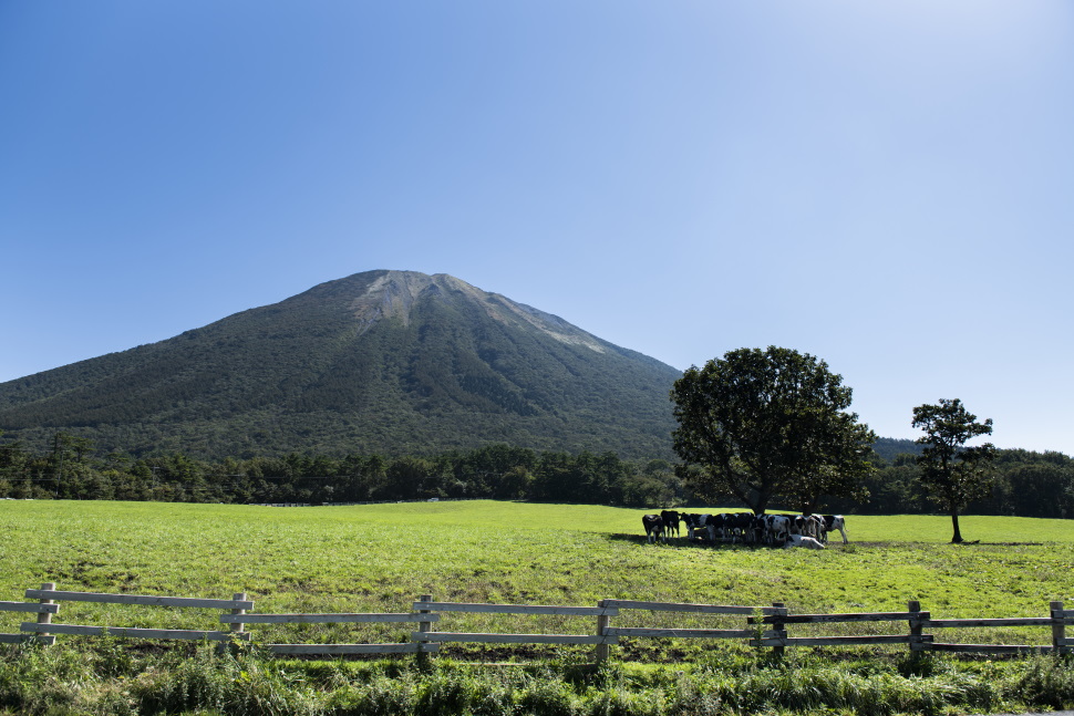 大山まきばみるくの里