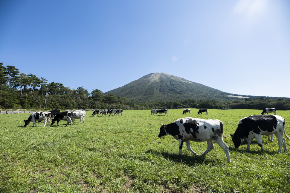 大山まきばみるくの里