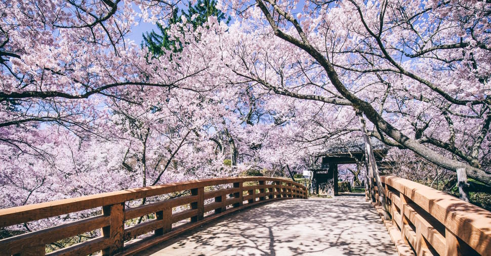 桜雲橋