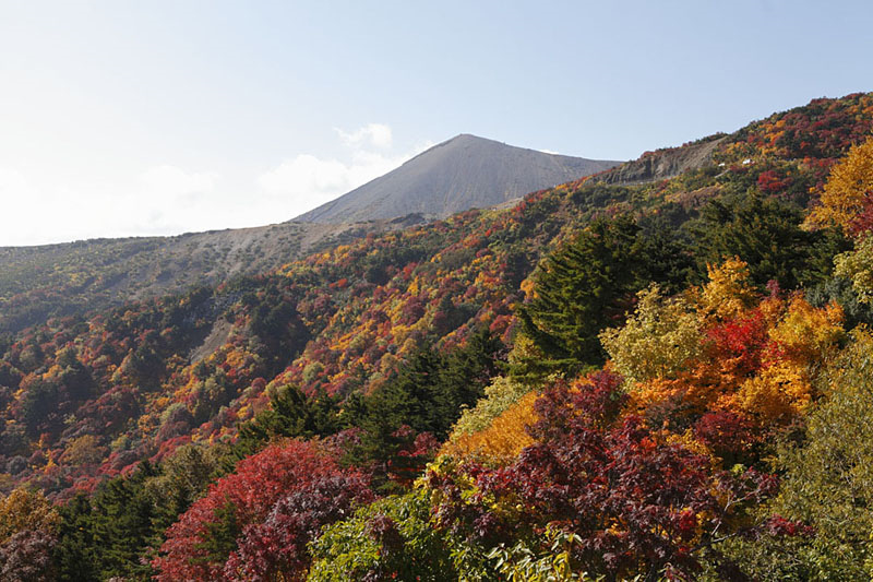 天狗の庭