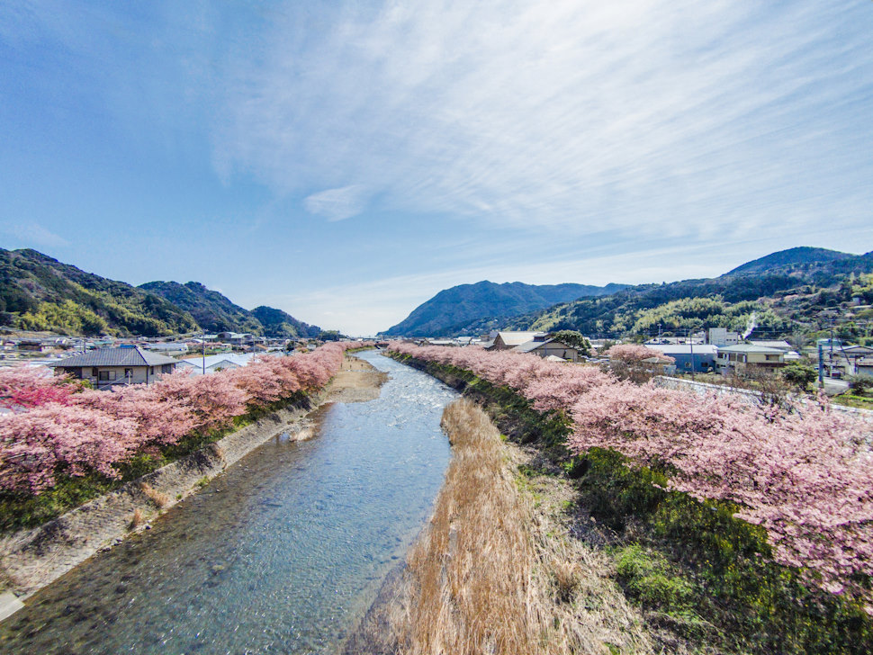 かわづいでゆ橋からの風景