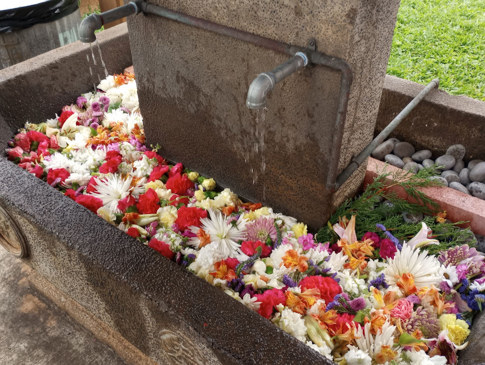 きれいなお花で飾られた手水屋