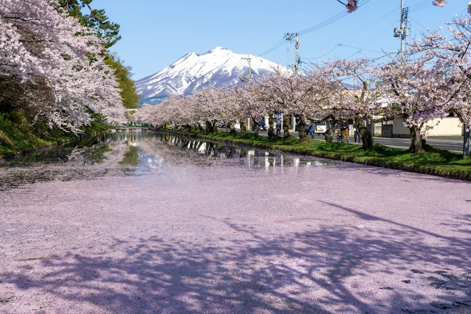 花筏と岩木山