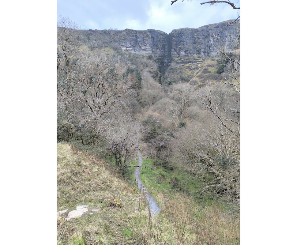 広葉樹林の雑木林