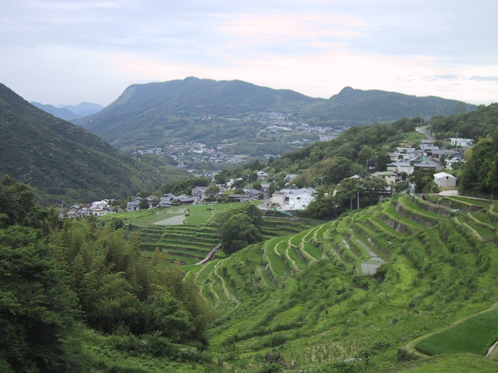 中山千枚田