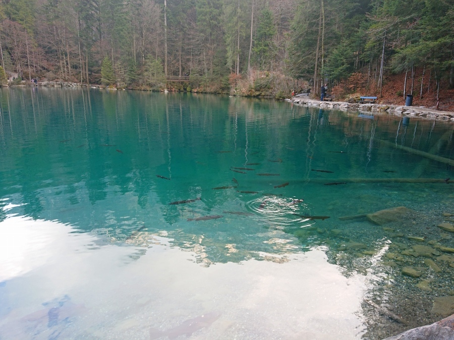 湖のまわりの遊歩道を歩くのも楽しい