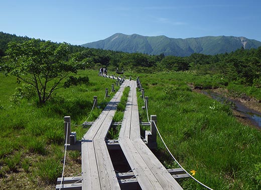 那須　沼ツ原湿原（イメージ）