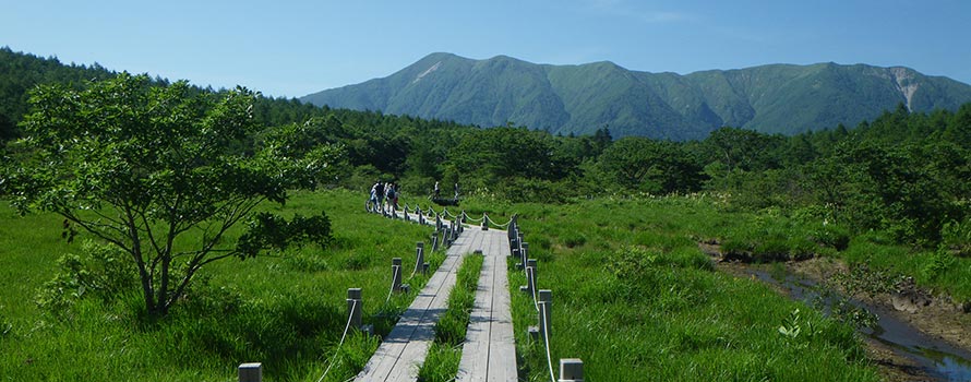 那須　沼ツ原湿原（イメージ）