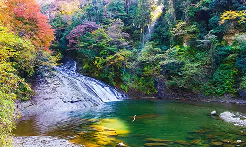 千葉県の人気温泉地 おすすめ10選