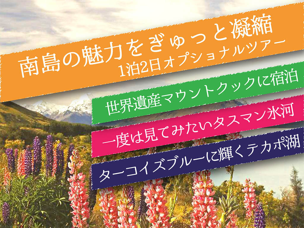 ★世界遺産★マウントクック観光 １泊２日  クイーンズタウン発