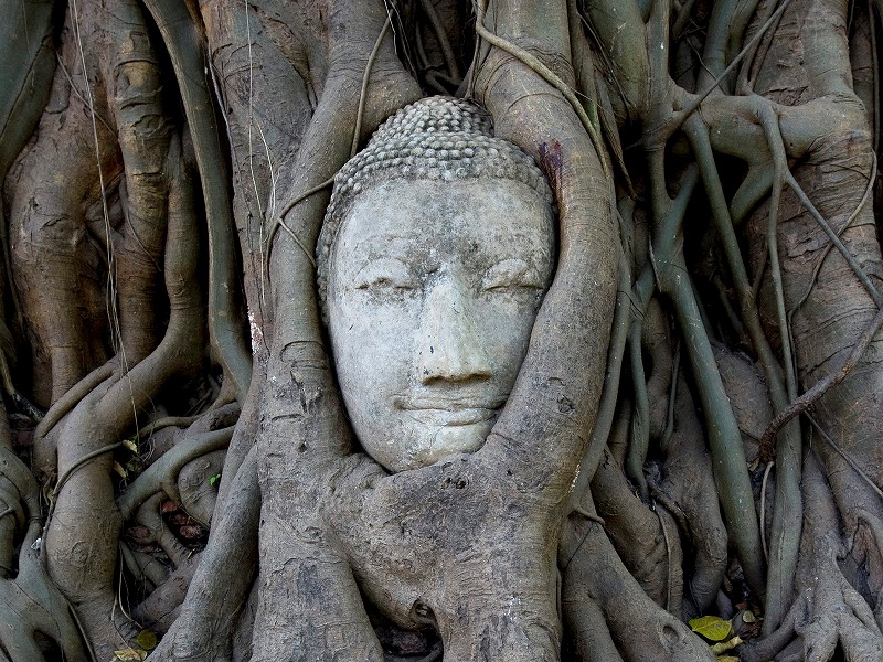 プラマハタート寺院  /  写真提供：タイ国政府観光庁