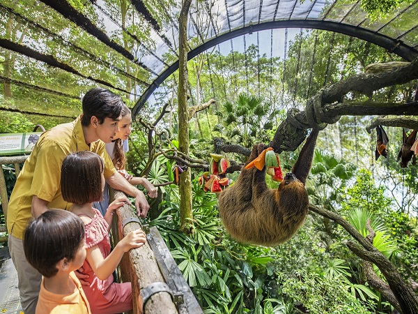 シンガポール動物園のここがポイント！