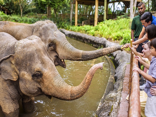 シンガポール動物園のここがポイント！