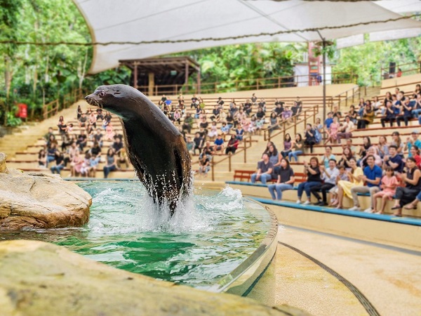 シンガポール動物園のここがポイント！