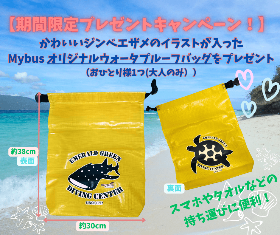 【春休み特別企画(3月出発限定)】★Jパークホテル★セブ島4泊5日間！到着から出発まで安心サポーㇳ！春休み＆卒業旅行にセブ島を大満喫するホテル宿泊付き＋観光アクティビティ盛りだくさんの現地発着プラン！